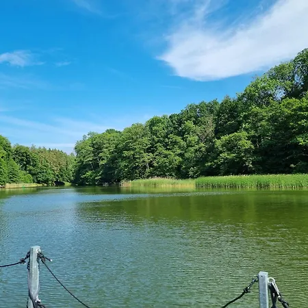 Tekne Floss 1 Priepert