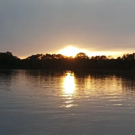 Tekne Floss 1 Priepert